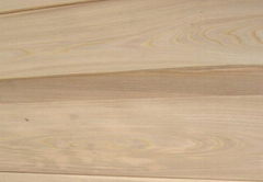 Elm veneer