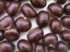 chestnuts 1