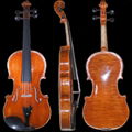 violin