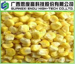 Freeze Dried Sweet Corn (FD Sweet Corn)