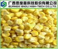 Freeze Dried Sweet Corn (FD Sweet Corn) 1