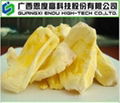 Freeze Dried Jackfruit (FD Jackfruit)