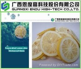 Freeze Dried Lemon (FD Lemon)