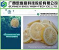 Freeze Dried Lemon (FD Lemon) 1