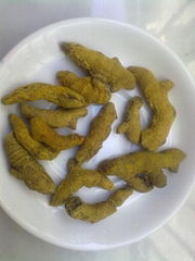 turmeric finger, whole and powder