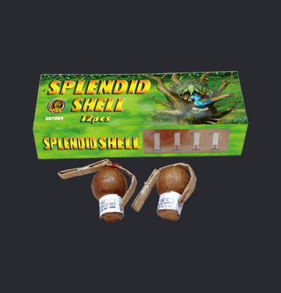 Reloadable shells 3