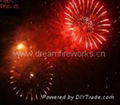 fireworks display 3