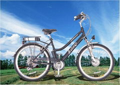 Electric bike