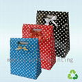 fashionable gift paper bag     2