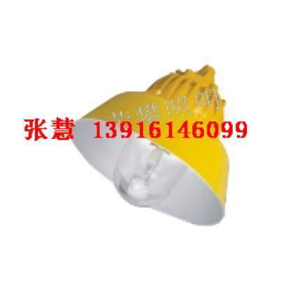 上海生产 BPC8720 防爆平台灯  2