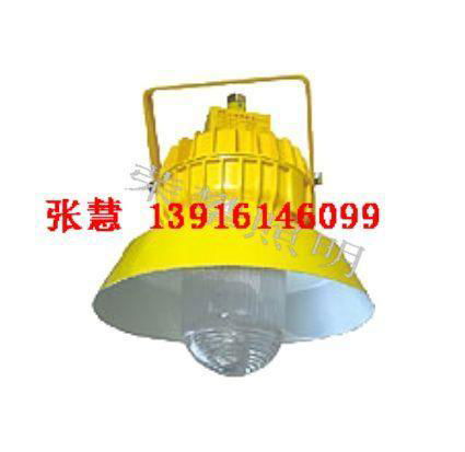 上海生产 BPC8720 防爆平台灯  3