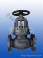 marine cast iron valve
