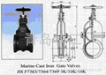 GATE  VALVE