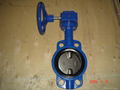 butterfly valve 2