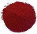 Iron Oxide Red 120