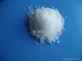 calcium nitrate 1