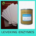 Bio-sizing enzyme 1