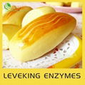 Food enzyme 1