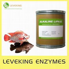 Feed enzyme