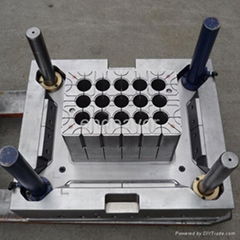 Plastic Injection Bottle Crate Mould 