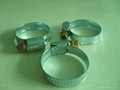 germany type hose clamp