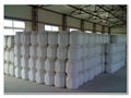 Calcium hypochlorite 2