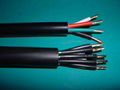 Control Cable with PVC Insulation and