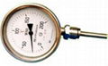 Bimetallic Thermometer