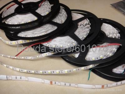 led strips ac220v dc12v 24v 30led/m 60led/m smd3528 smd5050 high quantity
