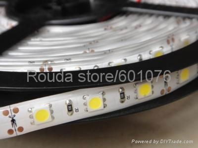 led strips ac220v dc12v 24v 30led/m 60led/m smd3528 smd5050 high quantity 2