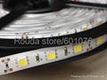 led strips ac220v dc12v 24v 30led/m 60led/m smd3528 smd5050 high quantity 2