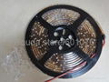 led strips ac220v dc12v 24v 30led/m 60led/m smd3528 smd5050 high quantity 5