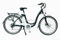 lithium electric bike 1