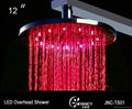 12'' Brass LED overhead shower