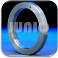 Ring Joint Gasket 4