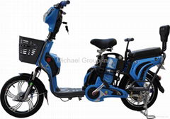 Electric bike