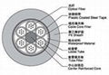 层绞钢带铠装护套光缆(GYTS) 2