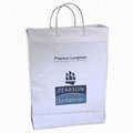 Promotional Shopping Bags with Handle. 3