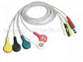 DIN 5-lead leadwires