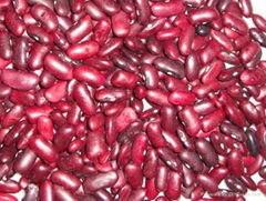 dark red kidney beans