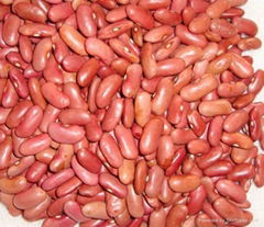 light red kidney bean