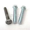 Hex bolts 1