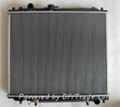 Auto Radiator (FIAT Series)  1