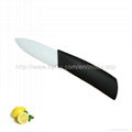 3“fruit ceramic knife 2