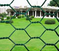 hexagonal wire netting 1