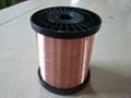 copper clad steel wire for lead in wire 3