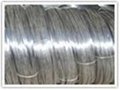 nickel plated steel wire 2