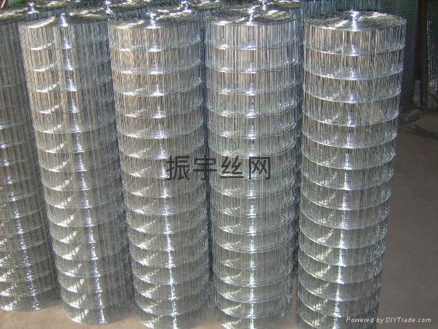 welded wire mesh 2