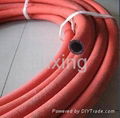 Steam hose