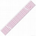 plastic/straight ruler